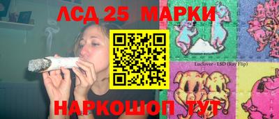 стаф Будённовск